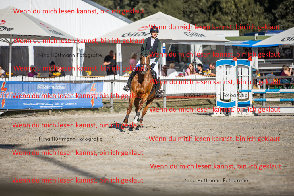 BK1A7622 | Turnierbilder Turnierfotos Nina Hüffmann Turnierfotografie Pferdefotografie Tierzeichnung Haustierzeichnung Pferdezeichnung Hundezeichnung Videograf  - Realisiert mit Pictrs.com