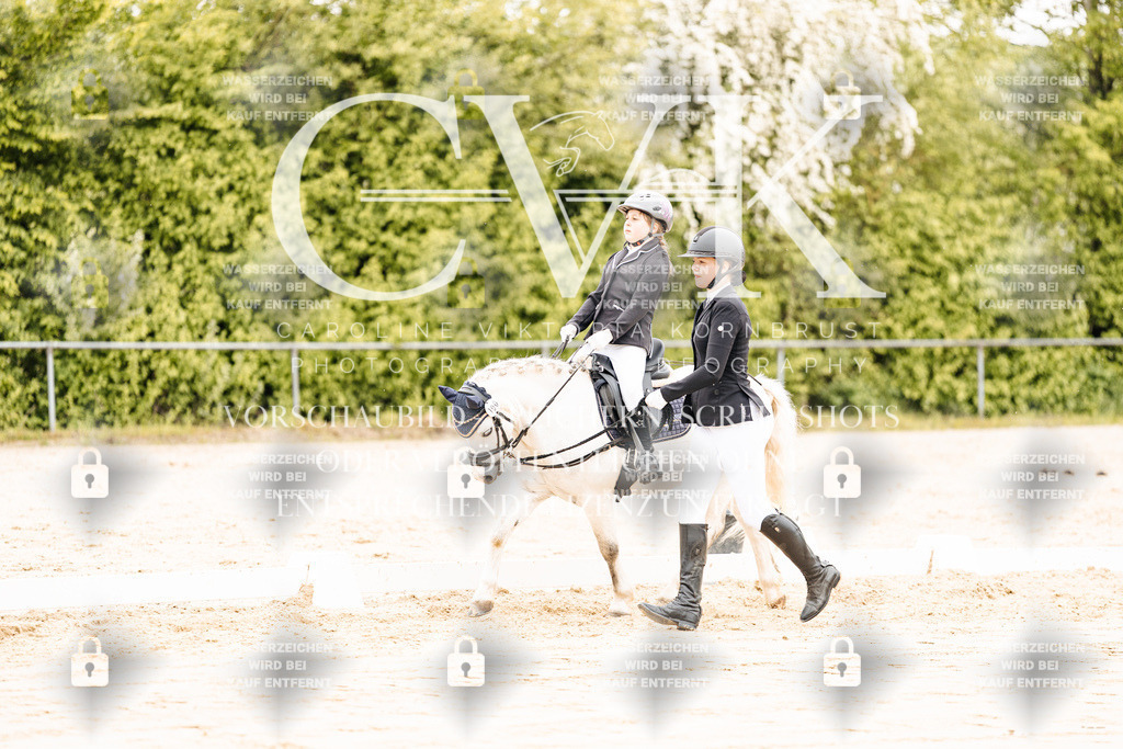 CK903659 | Turnierfotografie Pferdefotografie Trier Rheinland-Pfalz Pferdesport Reitsport Tierfotografie Sportfotografie Pferdevideo Pferdevideografie Equestrianvideography equestrianphotography  - Realisiert mit Pictrs.com