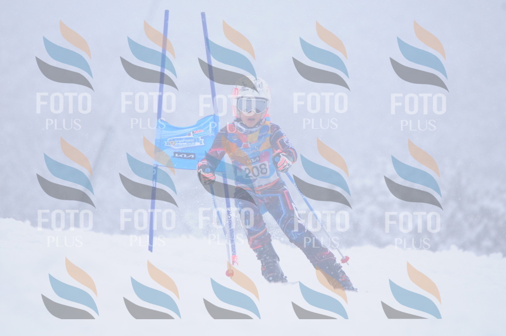 C2242 | holidayphoto