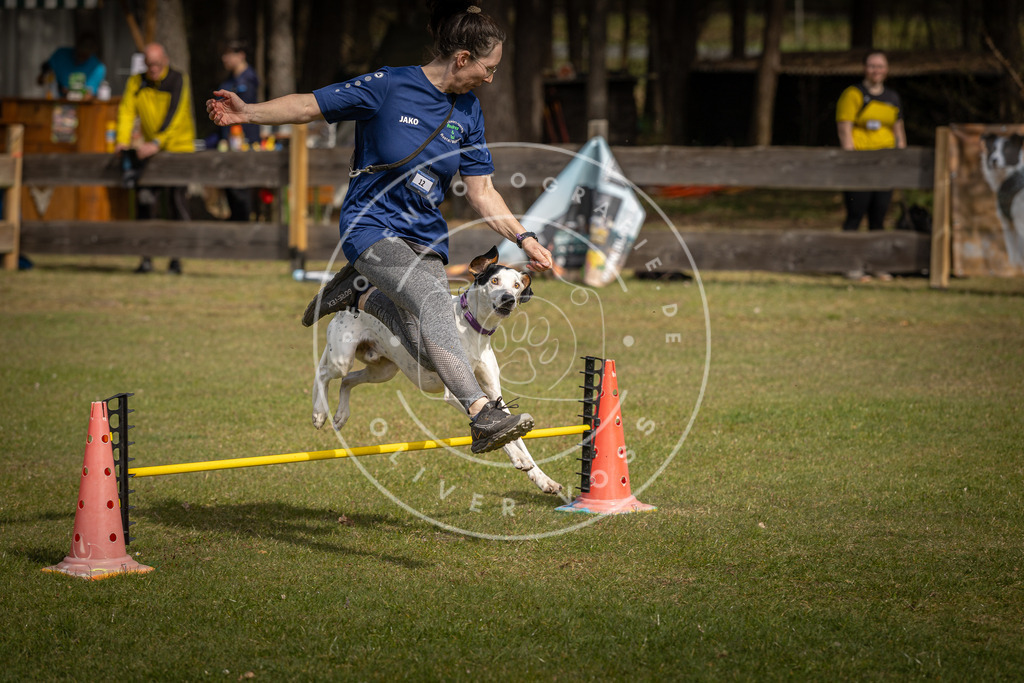 Pfotenfotografie_DV3A9505 | Hundefotografie, Tierfotograf, Pfotenfotografie, Fotoshooting Hund, Hunde Portrait, Hundesport, Hundeportraits, Heideshooting, Hunde, Sportfotograf, Hundefotograf, Turnierhundsport, THS,  - Realisiert mit Pictrs.com