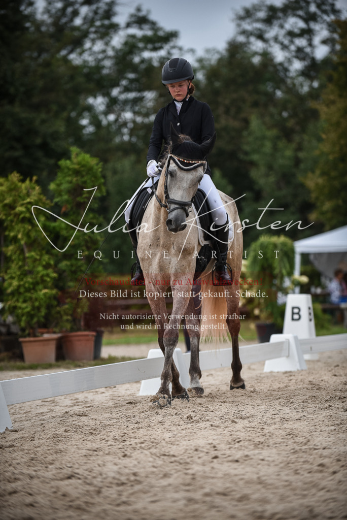 DSC_8226 | Pferde- und Turnierfotografie in Westsachsen. Pferdeportraits, Auftragszeichnungen und intuitive Kunst.