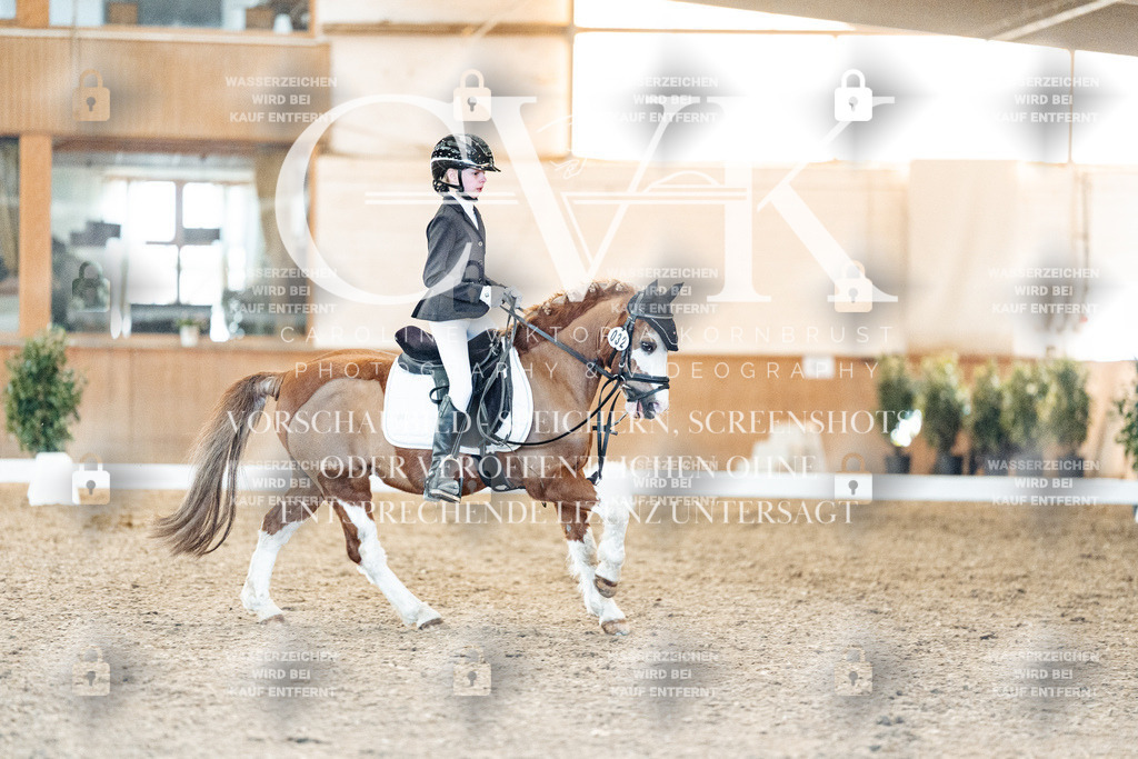 CK907304 | Turnierfotografie Pferdefotografie Trier Rheinland-Pfalz Pferdesport Reitsport Tierfotografie Sportfotografie Pferdevideo Pferdevideografie Equestrianvideography equestrianphotography  - Realisiert mit Pictrs.com