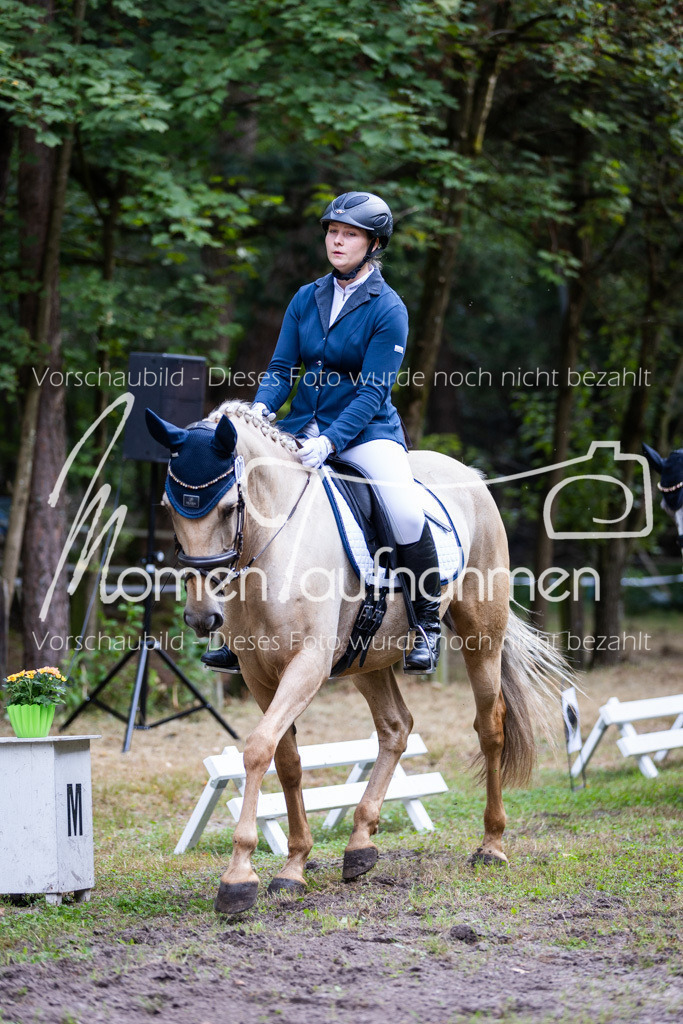 HB-A-Dressur-062 | MomenTaufnahmen Pferdesportfotos