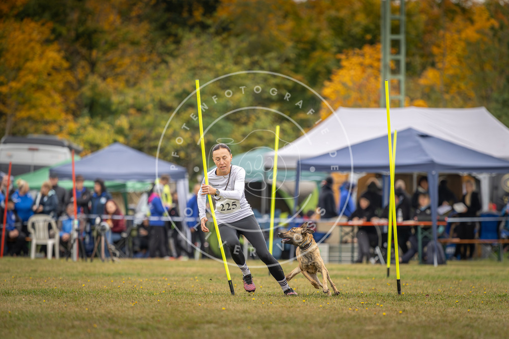Pfotenfotografie_DV3A3921 | Hundefotografie, Tierfotograf, Pfotenfotografie, Fotoshooting Hund, Hunde Portrait, Hundesport, Hundeportraits, Heideshooting, Hunde, Sportfotograf, Hundefotograf, Turnierhundsport, THS,  - Realisiert mit Pictrs.com