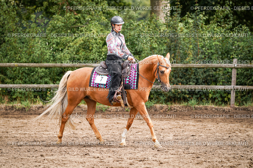 DSC04624 | Pferdegrafie