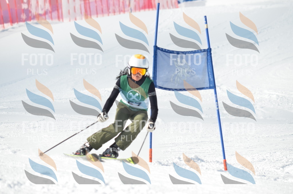 D8836 | holidayphoto