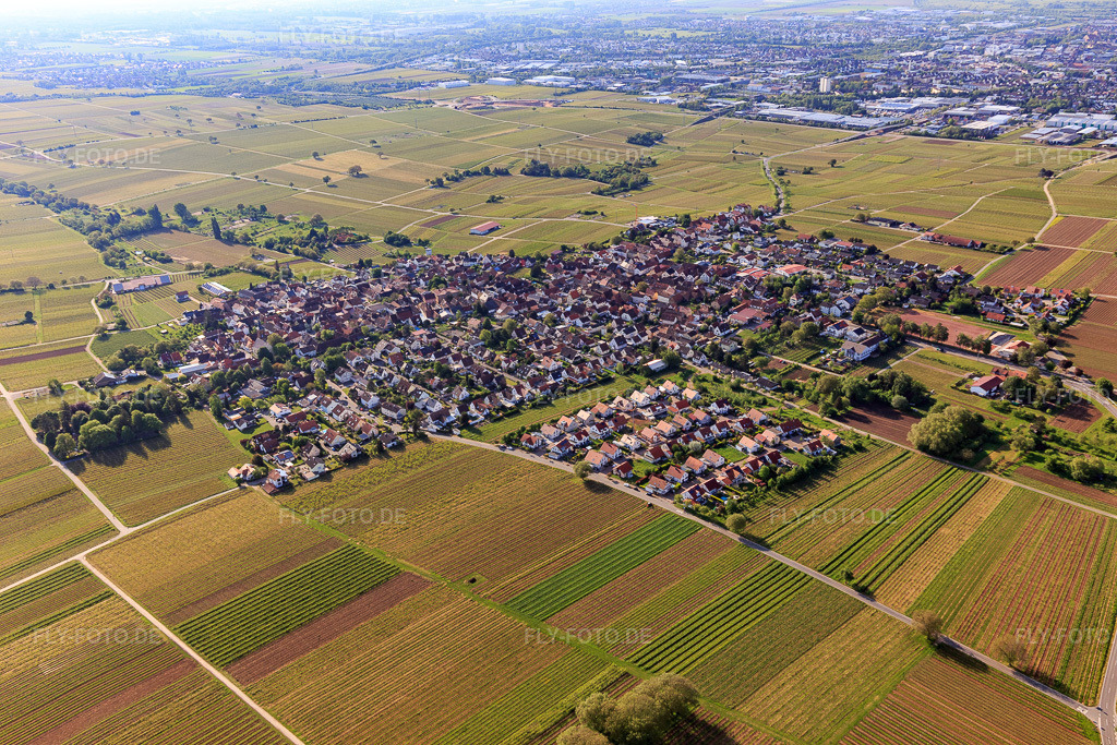 Luftbild: Ortsansicht von Nordwesten im Ortsteil Nußdorf in Landau im Bundesland Rheinland-Pfalz in Deutschland. Foto: IMG_120718.jpg vom 03.05.2020 durch Werner Riehm/FLY-FOTO.de