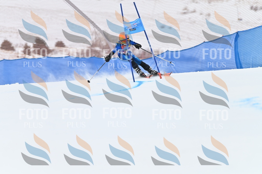 BGV_9686 | holidayphoto