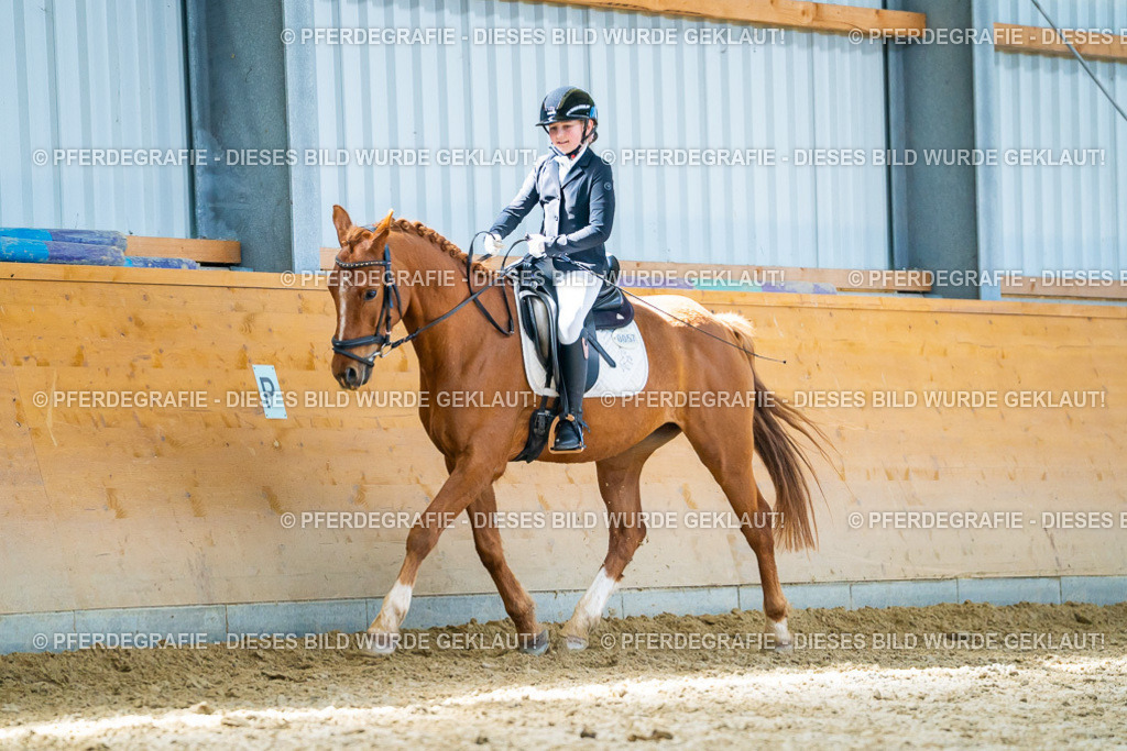 DSC08370 | Pferdegrafie