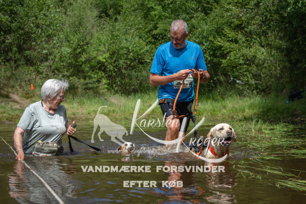 1204DKK991701 | kk-dogfotos