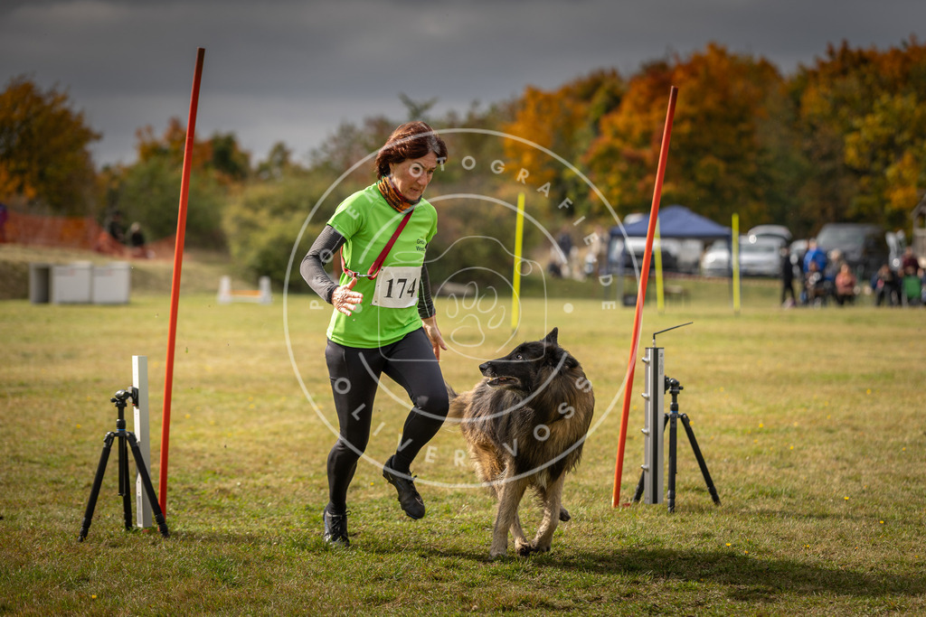 Pfotenfotografie_DV3A5860 | Hundefotografie, Tierfotograf, Pfotenfotografie, Fotoshooting Hund, Hunde Portrait, Hundesport, Hundeportraits, Heideshooting, Hunde, Sportfotograf, Hundefotograf, Turnierhundsport, THS,  - Realisiert mit Pictrs.com