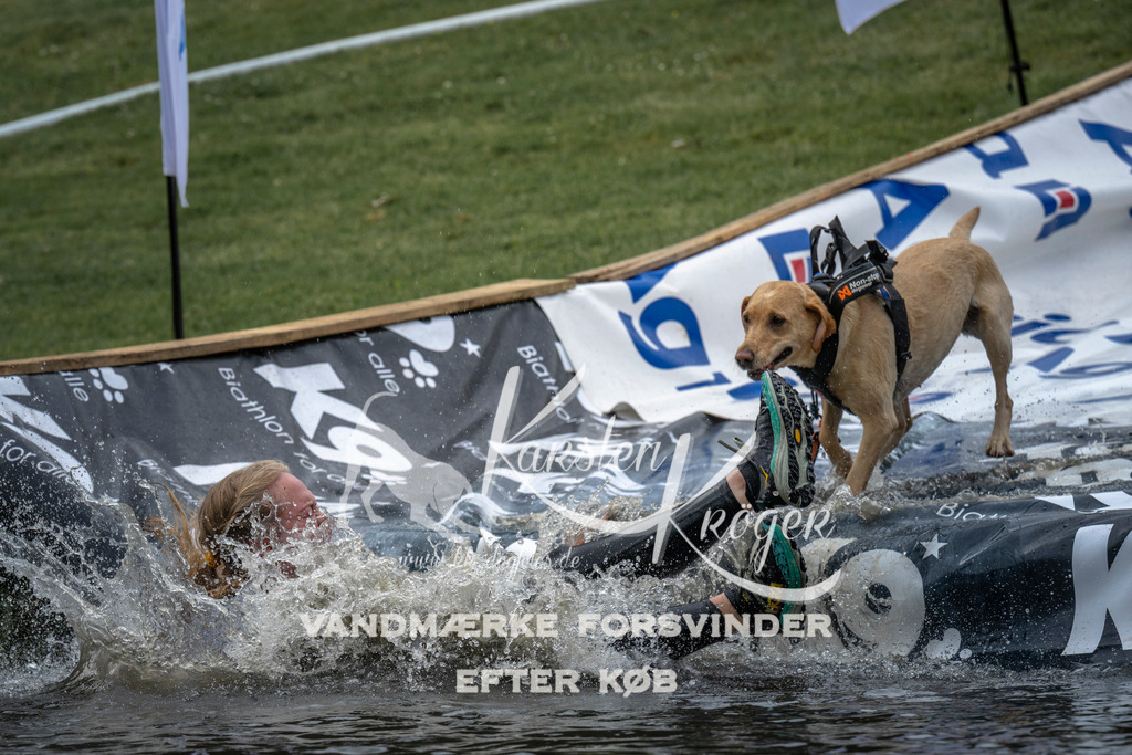 1537_ZZ95705 | kk-dogfotos