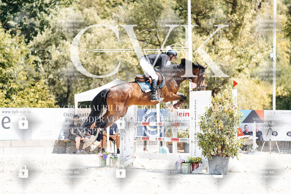 CK900149 | Turnierfotografie Pferdefotografie Trier Rheinland-Pfalz Pferdesport Reitsport Tierfotografie Sportfotografie Pferdevideo Pferdevideografie Equestrianvideography equestrianphotography  - Realisiert mit Pictrs.com