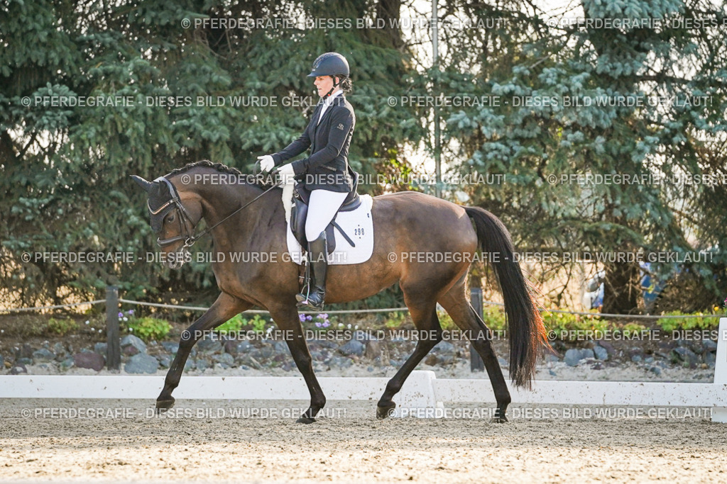 DSC08191 | Pferdegrafie