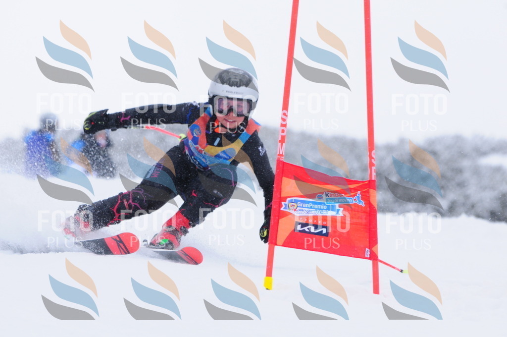 C4141 | holidayphoto