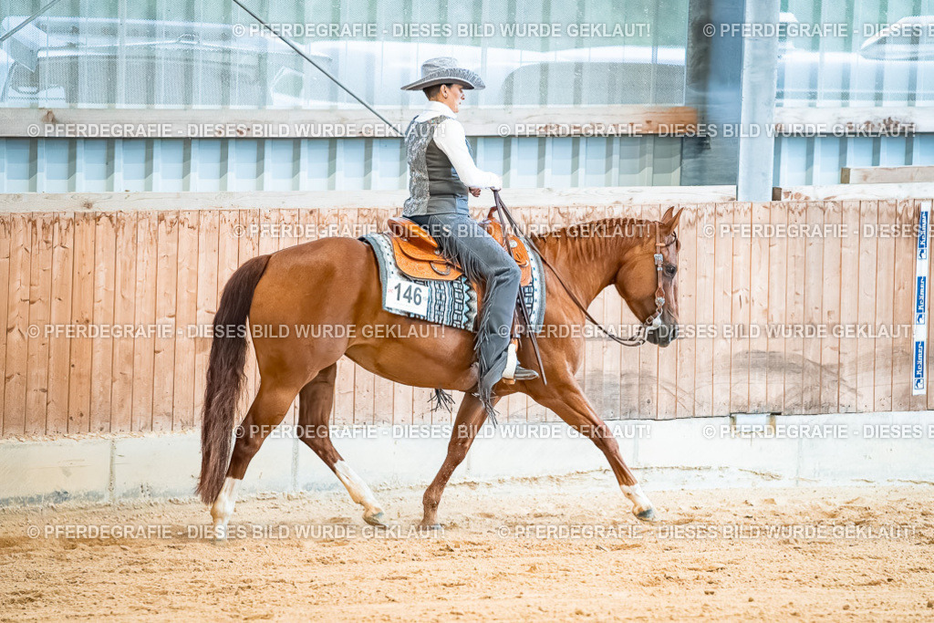 DSC00101 | Pferdegrafie