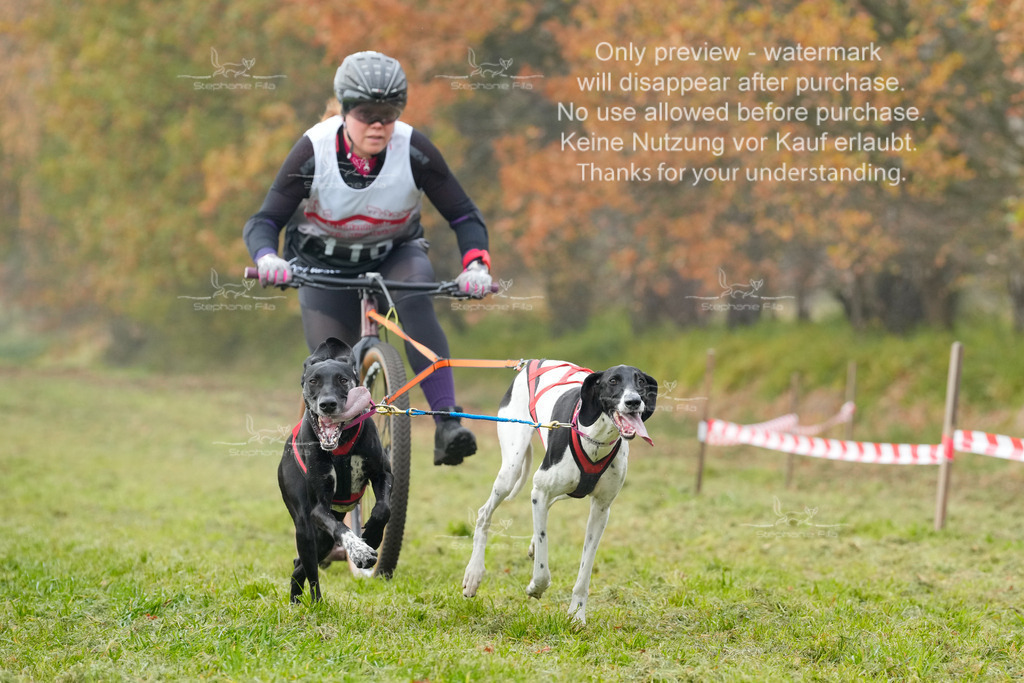 Visbeck_Sa_DS2DR2-82 | stephaniefillaphotographie - Realisiert mit Pictrs.com