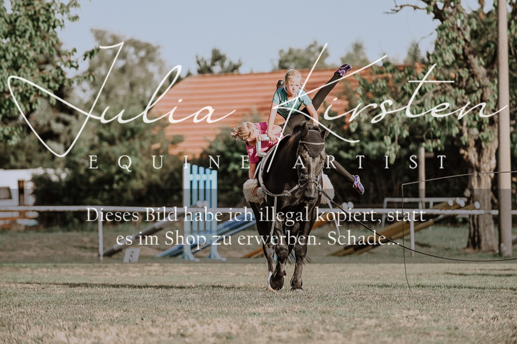 DSC_9947 | Pferde- und Turnierfotografie in Westsachsen. Pferdeportraits, Auftragszeichnungen und intuitive Kunst.
