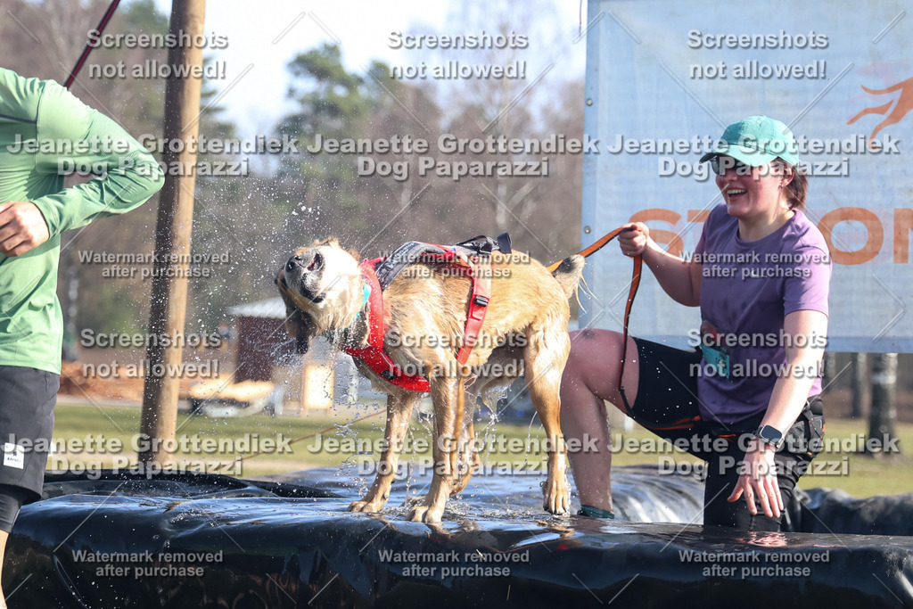 Dog Paparazzi - Strongdog North Mrz26-1221 | Dog Paparazzi Jeanette Grottendiek Fotografie & Videografie - Realisiert mit Pictrs.com
