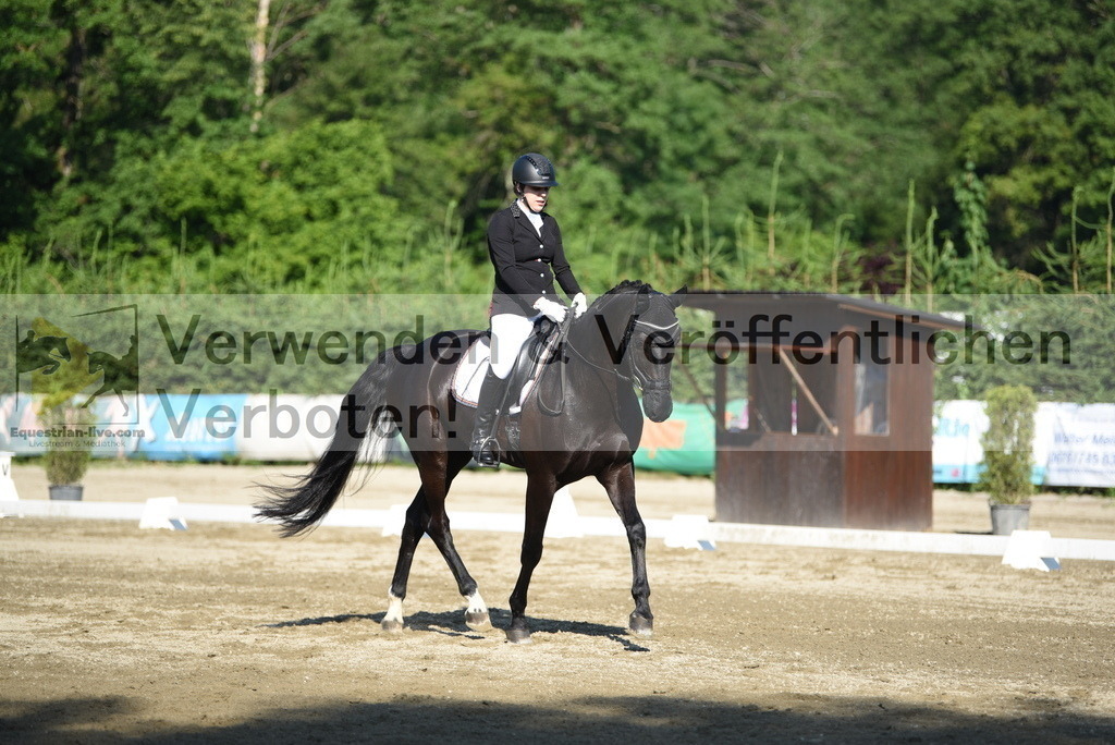 DSC_7077 | equestrian-live-com