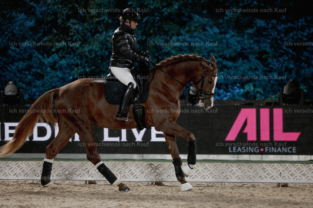 FHClassics-14 | working equitationturnier fotograf videograf stoibphotography marixx film working equitation deutschland reitsport turnierfotografie eventfotografie equestrian events