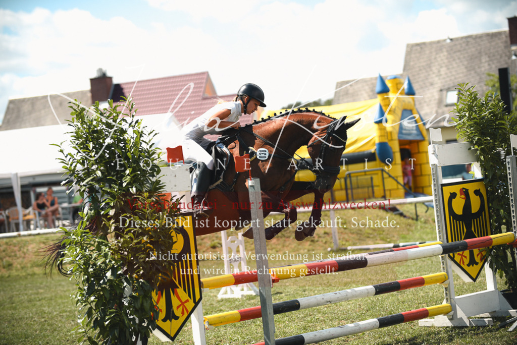 DSC_6654 | Pferde- und Turnierfotografie in Westsachsen. Pferdeportraits, Auftragszeichnungen und intuitive Kunst.