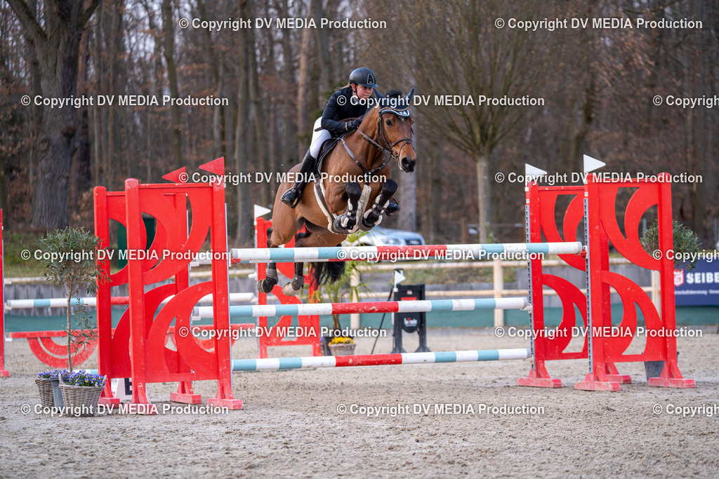 Kranichstein Tag 2-2373 | dv-media-shop - Realisiert mit Pictrs.com