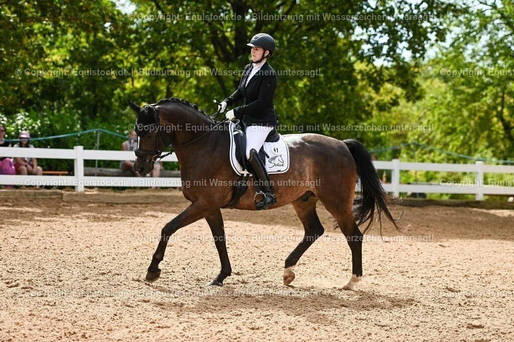 20230715_07_Dressurpferdeprfg. Kl.L_0113 | equistock