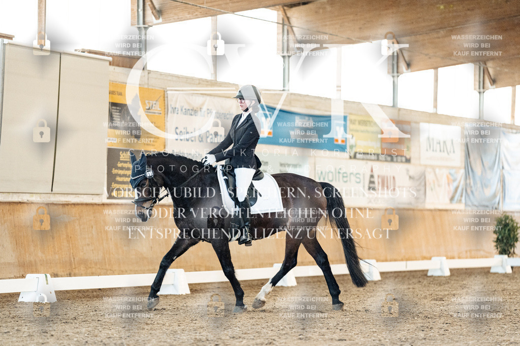 CK907010 | Turnierfotografie Pferdefotografie Trier Rheinland-Pfalz Pferdesport Reitsport Tierfotografie Sportfotografie Pferdevideo Pferdevideografie Equestrianvideography equestrianphotography  - Realisiert mit Pictrs.com