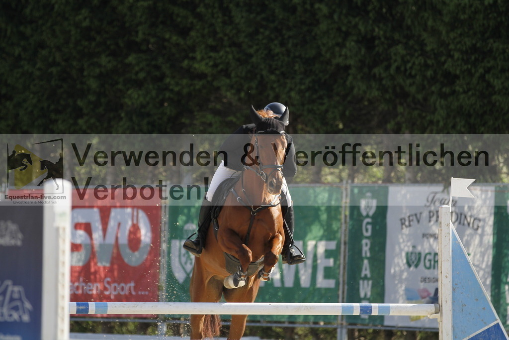 _MG_8416 | equestrian-live-com
