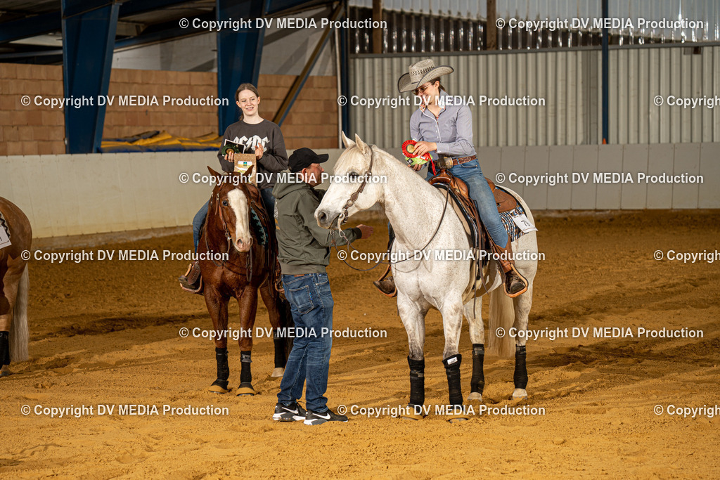 MIT00521 | dv-media-shop - Realisiert mit Pictrs.com