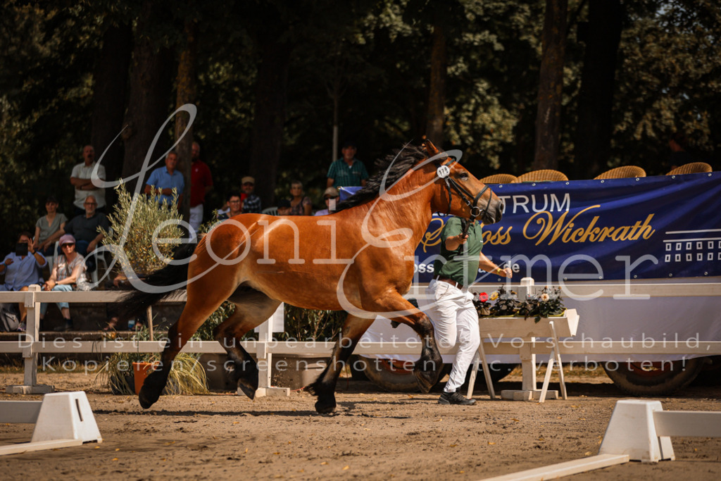 1.Sa00008 | Leoni Ertmer Photography - Realisiert mit Pictrs.com