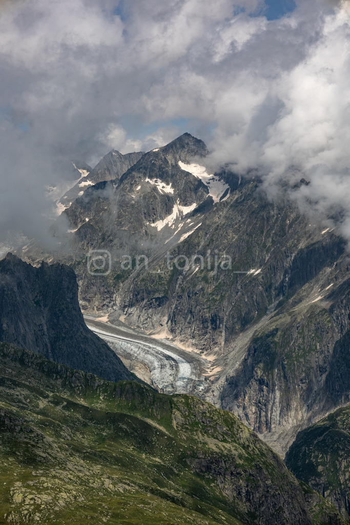 JB3A0511 | antonija-trupina - Realisiert mit Pictrs.com