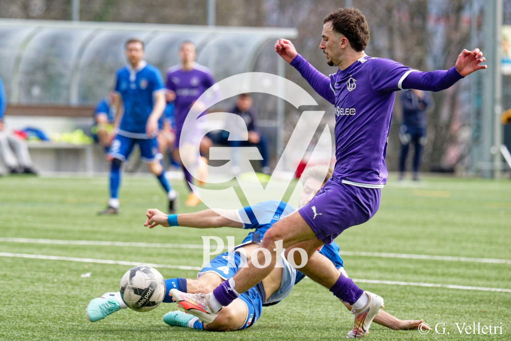 DSC_8463 | Velletri Photo