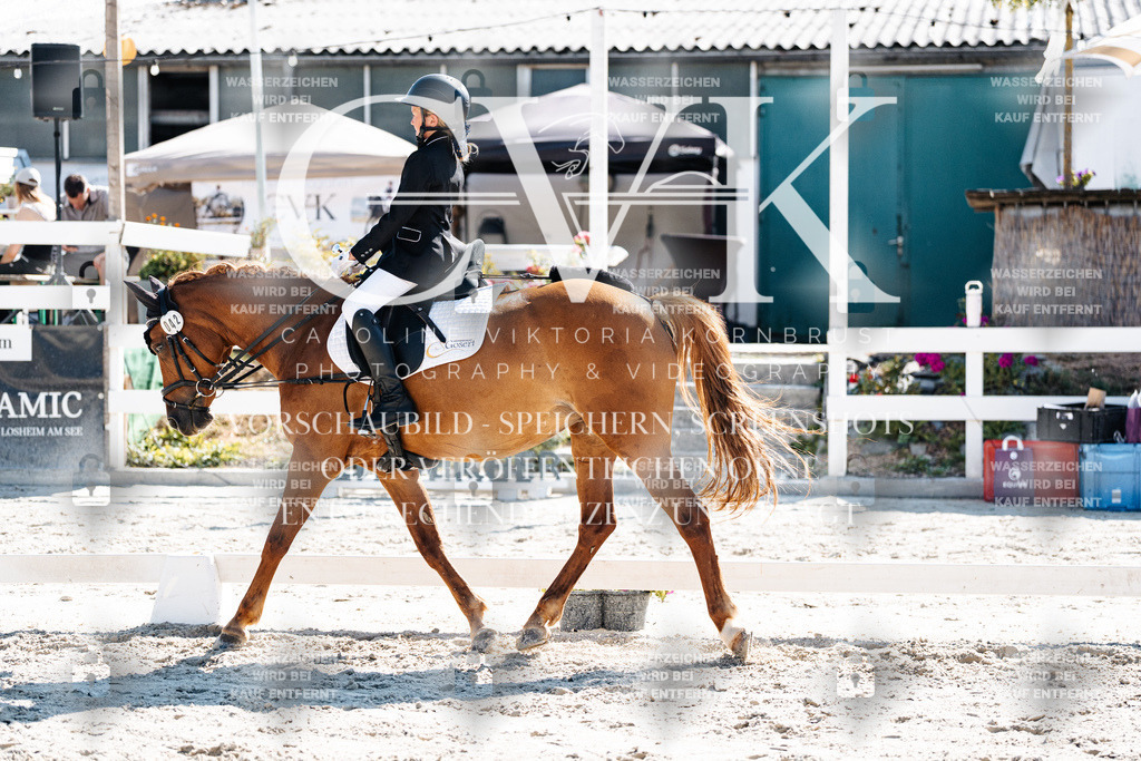 CK903018 | Turnierfotografie Pferdefotografie Trier Rheinland-Pfalz Pferdesport Reitsport Tierfotografie Sportfotografie Pferdevideo Pferdevideografie Equestrianvideography equestrianphotography  - Realisiert mit Pictrs.com