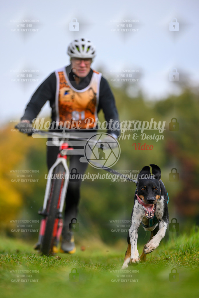 MompixPhotography_CDLBDB2025_DI_DS-58 | PayLife