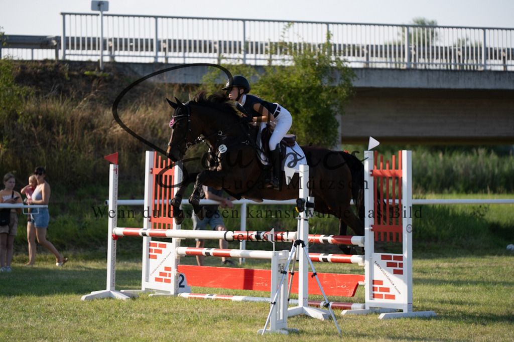 A7V00890 | Pferdefotograf