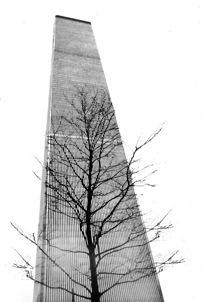 08USA_NYC_WTC_alone_1980_9837sw_A2_print | Beegebilder online. 
BIldarchiv von Beege Fotodesign mit ausgewählten Werken, die sich besonders gut für die Dekoration Ihrer Räume oder Wände eignen. 