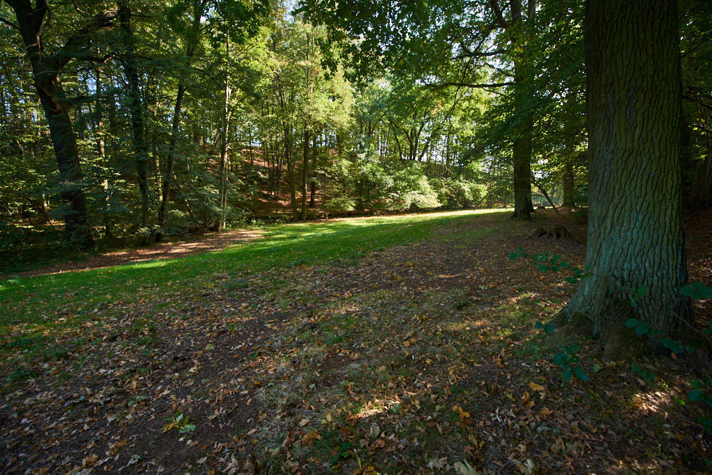 In der Neustädtler Skala 03 | Bedeutsame Landschaften Deutschlands - Realisiert mit Pictrs.com