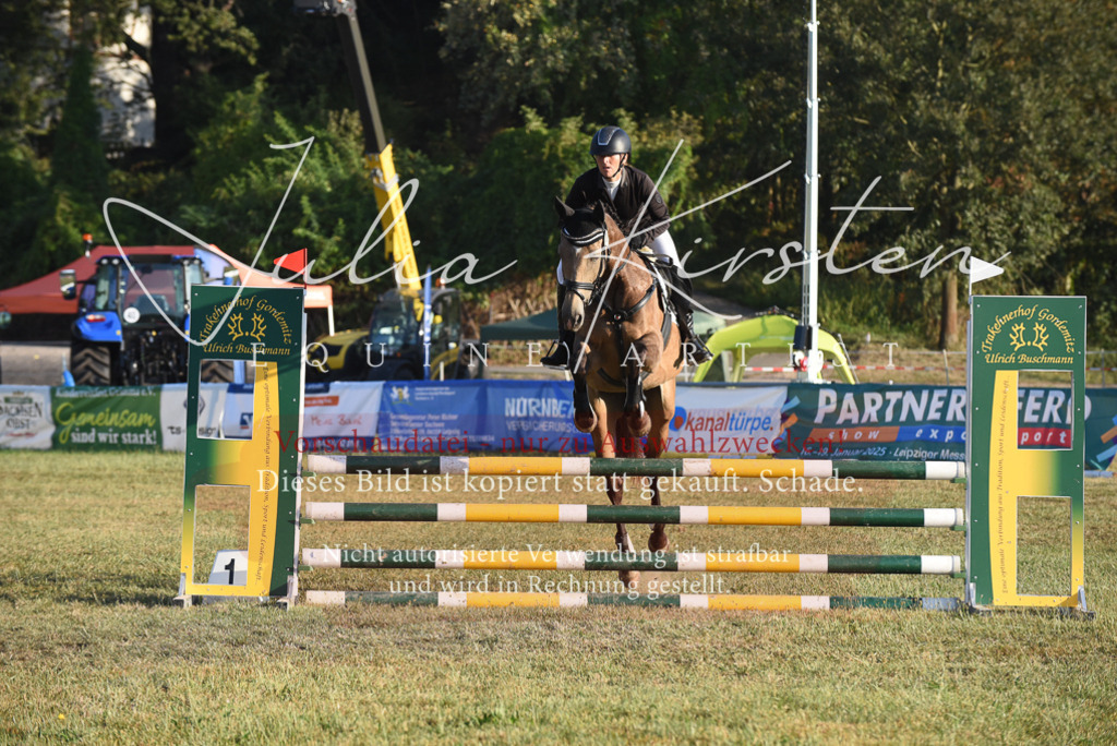 DSC_4825 | Pferde- und Turnierfotografie in Westsachsen. Pferdeportraits, Auftragszeichnungen und intuitive Kunst.