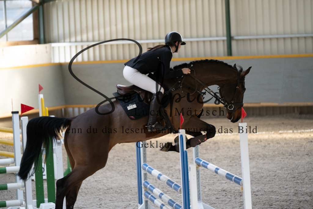 A7V02161 | Pferdefotograf