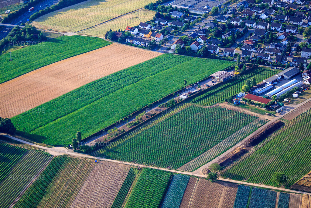 Luftbild: Aussiedlerhof Am Wassertugm in Kandel im Bundesland Rheinland-Pfalz in Deutschland. Foto: IMG_69771.jpg vom 04.07.2014 durch Werner Riehm/FLY-FOTO.de