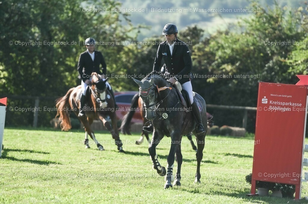 20230908_14-15_Springpferde-A_0142 | equistock