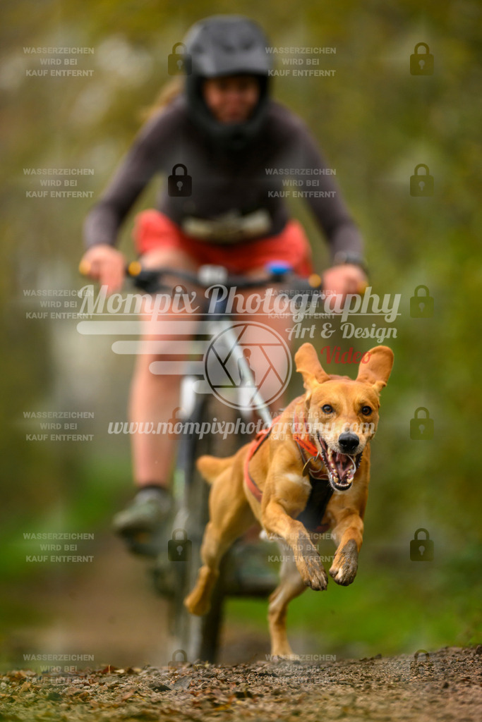 MompixPhotography_20TSB_E6_Bike-154 | PayLife