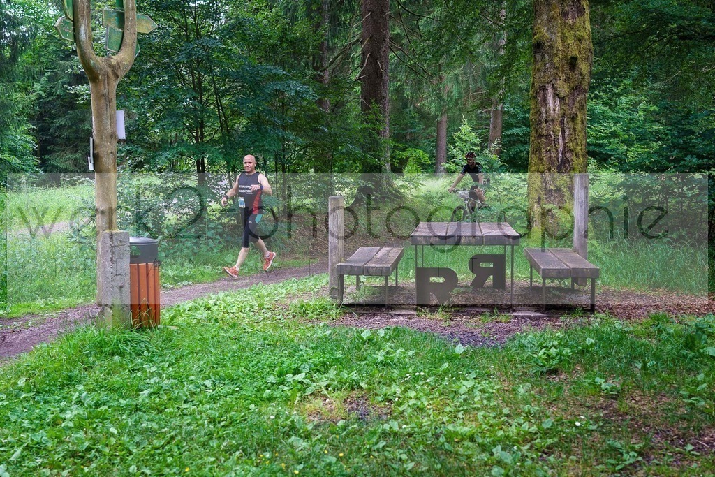 Rennsteig-Staffellauf | 24. Staffellauf - 22.06.2024 von Hörschel nach Blankenstein