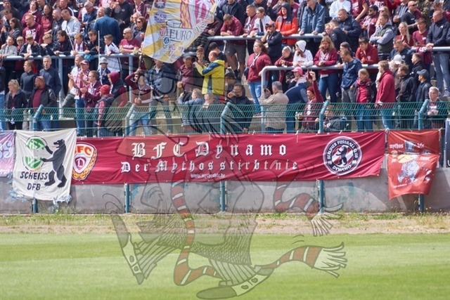 BFC Dynamo vs. VfB Oldenburg 015 | mythos-online-redaktion