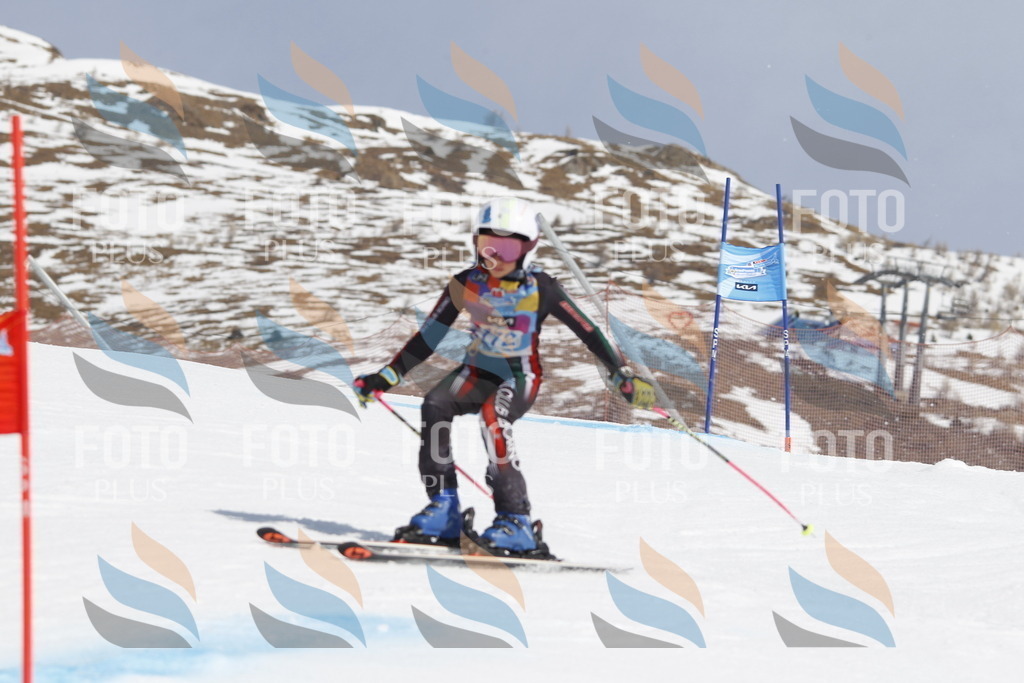 _U3G1583 | holidayphoto