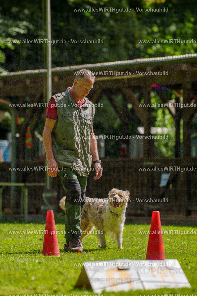 @allesWIRTHgut_Tierfotografie - www.allesWIRTHgut.de - 100101-7R507950 | Professionelle Tierfotografie in Mönchengladbach von Daniel Wirth (allesWIRTHgut). Liebevolle & natürliche Bilder von Hunden & Katzen für unvergessliche Erinnerungen.