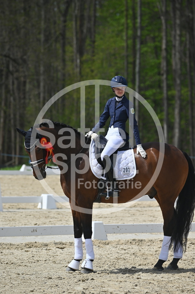 DSC_2608 | sattelsport - Realisiert mit Pictrs.com