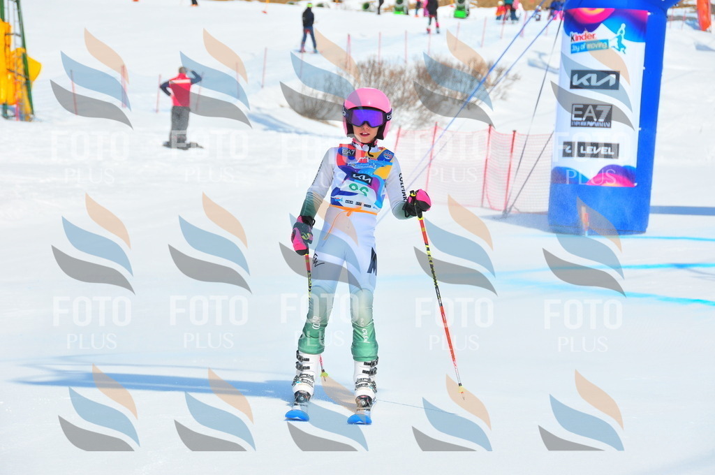 DSC_0659 | holidayphoto